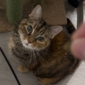 Meet your Posher, Alex